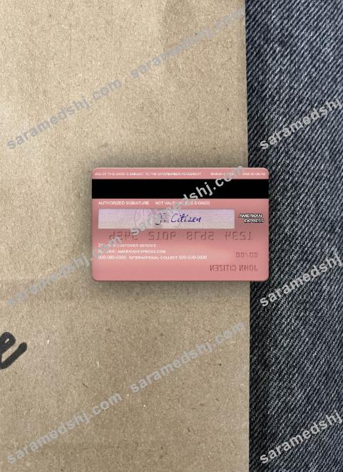 USA Capital One bank AMEX rose gold card photolook back